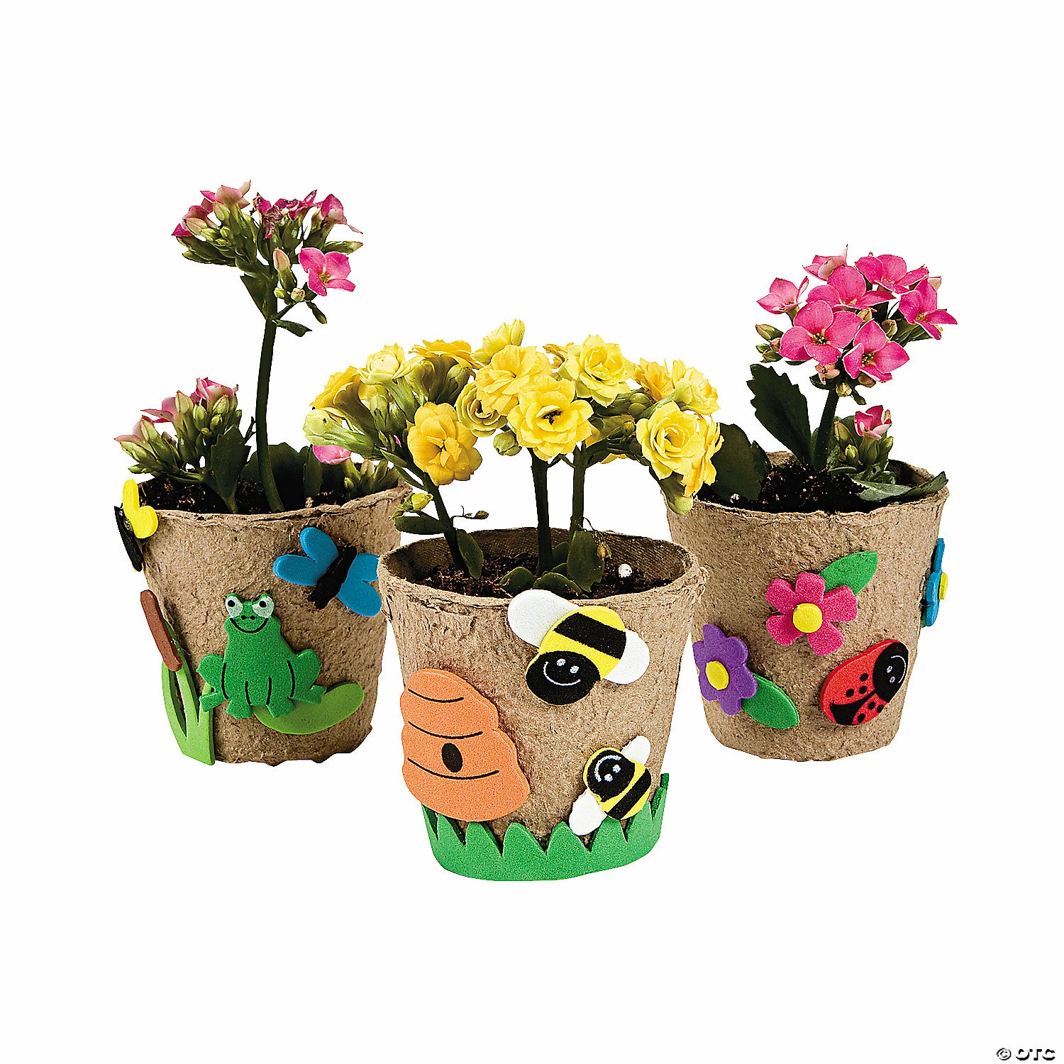 Coupon π€© Garden Pot Craft Kit - Makes 12 π