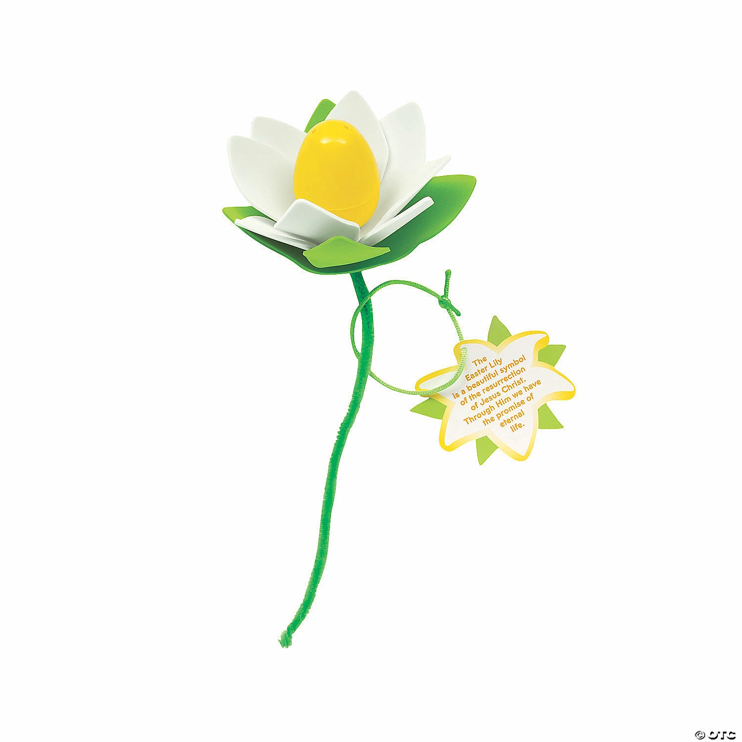 Coupon β¨ Religious Easter Lily with Card Craft Kit - Makes 12 π